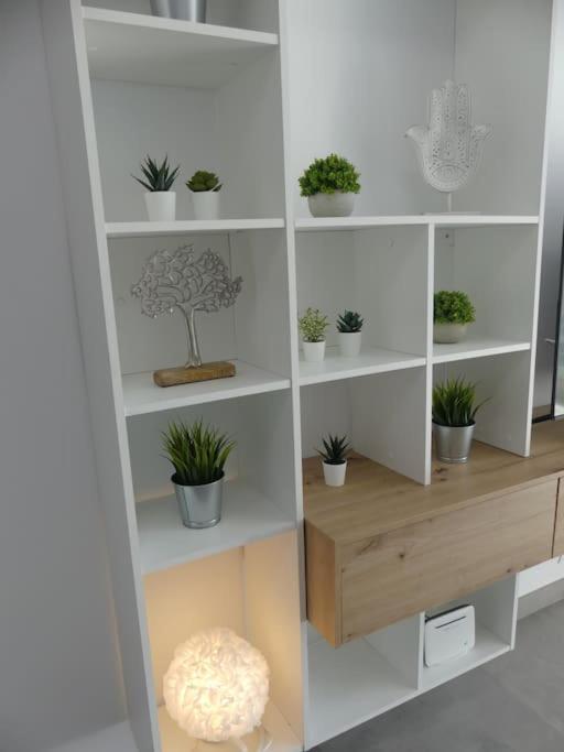 19 Piso Centrico, Nuevo Y Bien Equipado En La Trinidad Διαμέρισμα Σαν Κριστόμπαλ ντε Λα Λαγούνα Εξωτερικό φωτογραφία